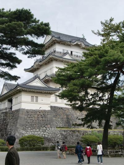 伊勢志摩の旅♪　⑤掛川から小田原へ