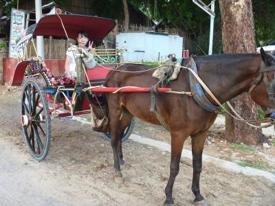 馬車で巡るバガン