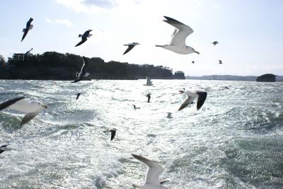 松島で日の出を見る