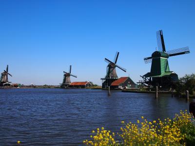 ★魅惑のロシア・アートとサッカーのオランダ・新緑のドイツ３カ国駆け足周遊⑩～zaanseschans～★