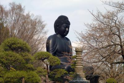 東京ぶらぶら　成増　東京大仏、赤塚植物園