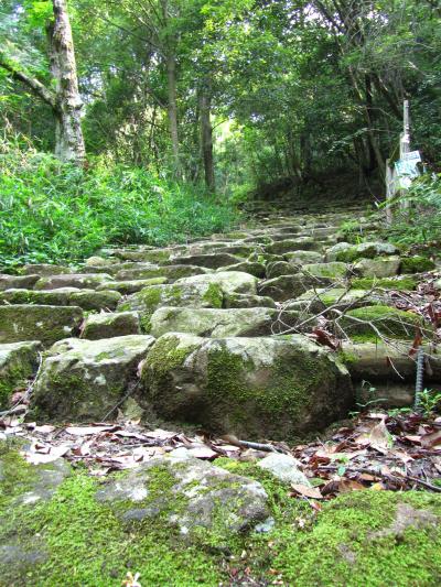 観音寺城と小谷城