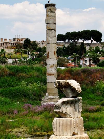 トルコ45　エフェス遺跡ｆ　アルテミス神殿の遺構は柱一本　☆世界七不思議の謎は？