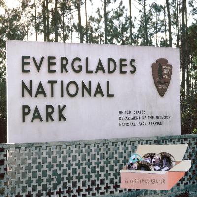 ６０年代の想い出：　Everglades National Park  　エバァグレーズ国立公園