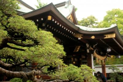 九州周遊・夫婦二人車中泊の旅「三日目熊本～霧島編」