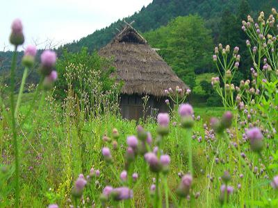 ぶら～り♪　「おひさま」の信濃路（新緑の安曇野アートライン／安曇野～大町～白馬）