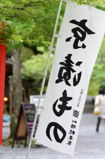 緑あふれる初夏の京都