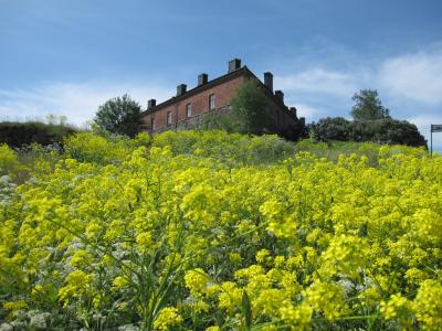 ヘルシンキのアパートメントに滞在（ヌークシオ、ナーンタリ）