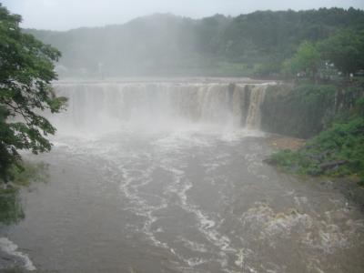 雨の原尻の滝。すごい迫力。さすが、日本のナイアガラ。