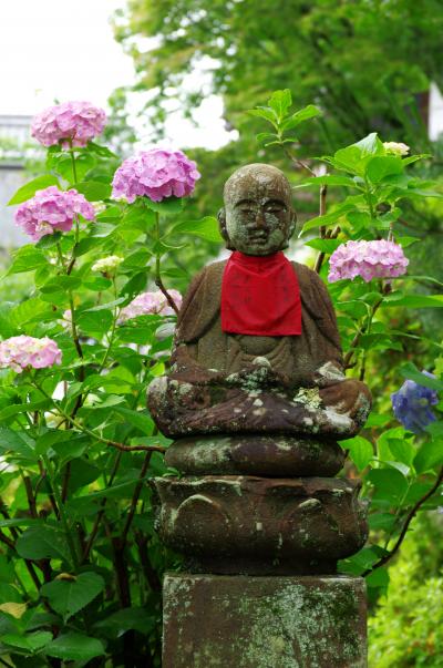 紫陽花の矢田寺