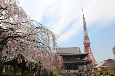 2011年お花見★増上寺・東京タワー★