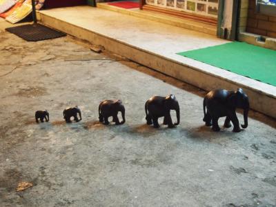 ネパール(4)鷹揚ポカラ