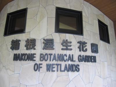 2011年水無月　梅雨の時期といえば、紫陽花・菖蒲に会いたいワタシ箱根湿生花園へ行ってみました。
