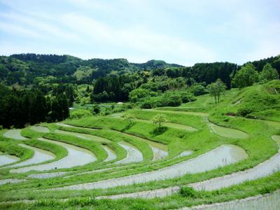 田んぼビューカフェ～棚田と断崖絶壁の鋸山