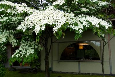 今年の職場の旅行は山梨でした