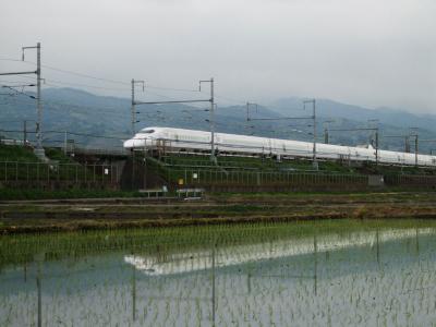 田植えの終わった田んぼで