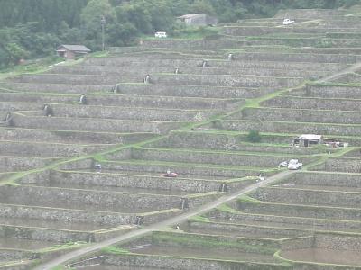 坂元棚田は日本の原風景。こころのふるさとがここにある。