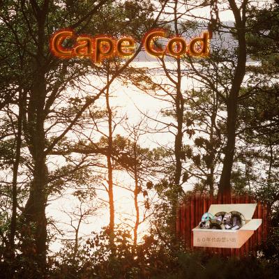 ６０年代の想い出：　Cape Cod　　　　ケープ　カッド