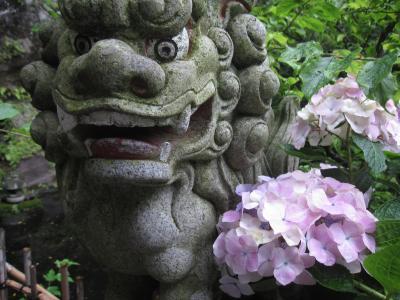 2011年6月 梅雨のおでかけ北鎌倉★紫陽花シーズンは要注意ですよ～