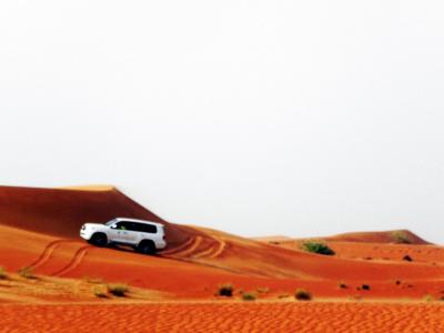 ドバイ・砂漠サファリを体験しました。④