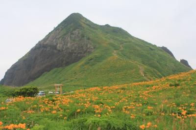 佐渡島１泊２日の旅No.２　大野亀のカンゾウ祭り（２日目）