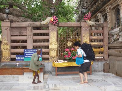 マンゴーとアショーカとリキシャーと　＜インド旅行記　ブッダガヤ編＞