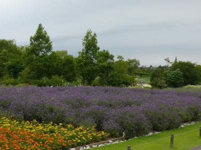 清水公園でカメラの練習