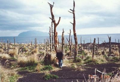 90年代の弾丸離島の旅1992.3　　「火山活動度ランクAの島」　　　～三宅島・東京～