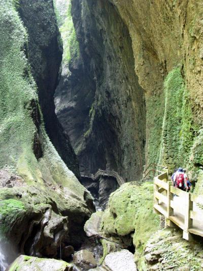 ”中国１０の世界遺産を歩く旅”　　（３）　中国南方カルスト（地縫風景区）