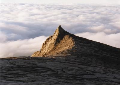 マレーシア　キナバル山頂上への道 in2002 （キナバル山登山編） 