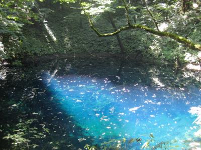 【青森】　奥入瀬渓流と白神山地の十二湖青池・・・偶然弘前ねぷた祭♪