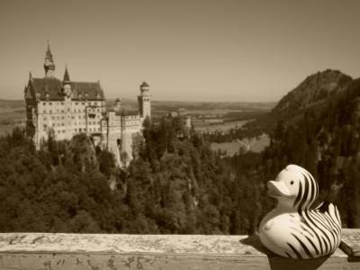 ヤマへは気から。 アルゴイアー・アルペン編、その5とうとう「ヤツ」に出会ってしまいました~ (ホーエンシュヴァンガウ)