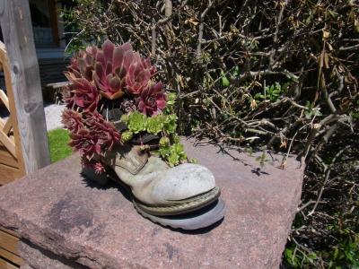 ヤマへは気から。 アルゴイアー・アルペン編、その6「小」ヴィース教会ってヤツを見て~帰りました。 (ゼーク)