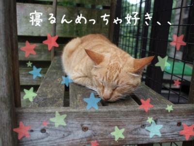 第二のふるさと