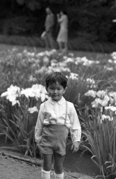 昭和40年41年明治神宮の花菖蒲