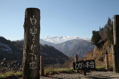 白山スーパー林道