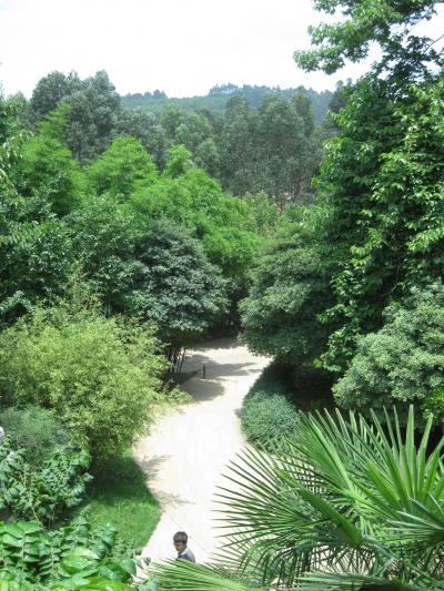 心の旅　中国　昆明　更に中国語を学ぶなら西南林業大学か？