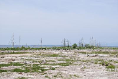 ２０１１夏北海道の旅～野付・中標津・釧路編～