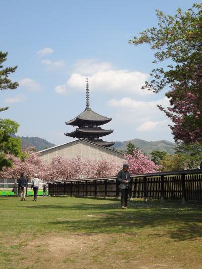 ＧＷの奈良でほっこり☆ならまちは不思議な空間なのだ！