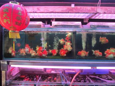 香港ごちそうさまっ♪