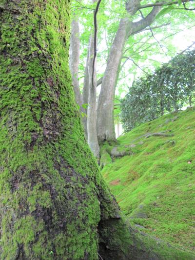 青を求めて京都・ついでの大阪【2.素人が行く京都】