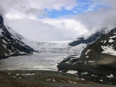 花と緑のカナディアンロッキーハイキングとナイアガラ・・・⑥コロンビア氷原アサバスカ氷河周辺の早朝散歩
