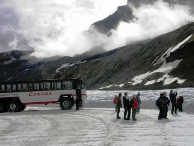 花と緑のカナディアンロッキーハイキングとナイアガラ・・・⑦いよいよコロンビア大氷原へ