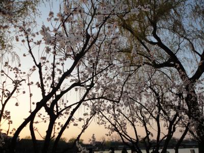 想像以上に楽しかった*北京