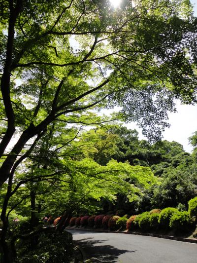 近くて遠い地元*毛利邸