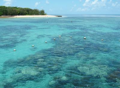 グレートバリアリーフの海の青さに感動