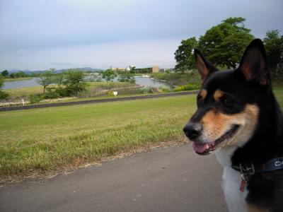 車中泊　北海道2011編　③