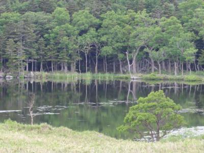 道東の旅　　知床