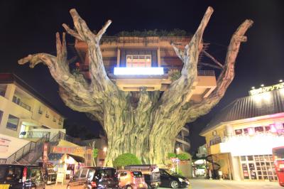 8月19日『投宿!』