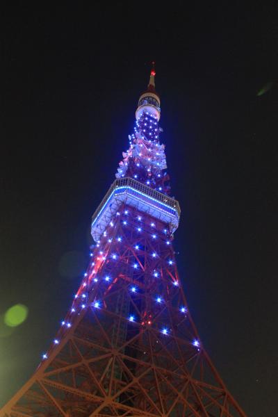 2011年東京タワー★ダイヤモンド・ヴェール★